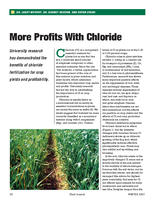 More Profits With Chloride