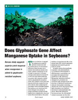 Does Glyphosate Gene Affect Manganese Uptake in Soybeans?
