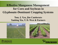 Effective Manganese Management for Corn and Soybean in Glyphosate-Dominant Cropping Systems