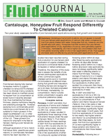 Cantaloupe, Honeydew Fruit Respond Differently To Chelated Calcium