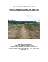 Improving Cotton Production Efficiency with Phosphorus and Potassium Placement at Multiple Depths in Strip Tillage Systems