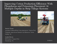 Improving Cotton Production Efficiency With Phosphorus and Potassium Placement At Multiple Depths in Strip Tillage Systems