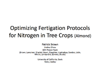 Optimizing Fertigation Protocols for Nitrogen inTree Crops (Almond)