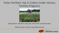 Foliar Fertilizer Use in Cotton Under Various Fertility Programs – Wilson, Byrd, Lewis, Arnall, and Catlin